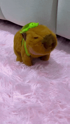 🔥 Capibara Bailarin